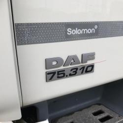 Daf 75.310