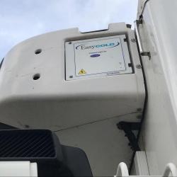 Daf 75.310